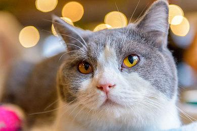 中文同步！《异星迷航：时空瀚海》四月发售